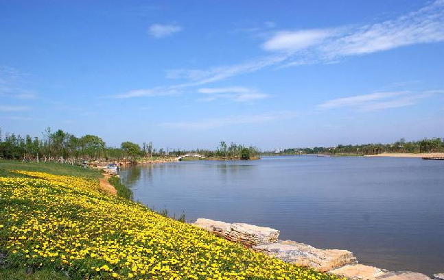 為什么膨潤(rùn)土防水毯比土工膜更適合景觀湖的蓄水問(wèn)題？
